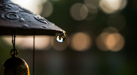 Raindrop Refraction Captures Serene Backyard Scene With Wind Chime