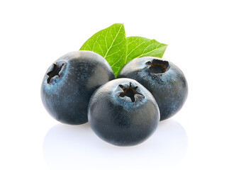 Blueberry with leaves in closeup