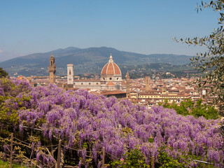Italia, Toscana, Firenze, il Giardino di villa Bardini.