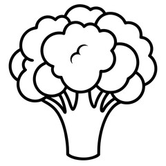 Broccoli icon vector