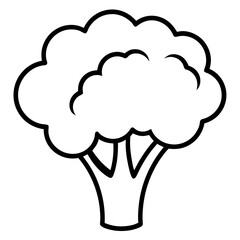 Broccoli icon vector