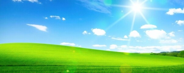 Obraz premium Vibrant blue sky, sunlit green meadow, idyllic summer scene, details, rural