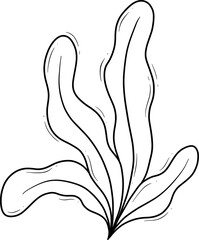 seaweed algae cartoon outline