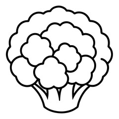 Cauliflower icon line art vector