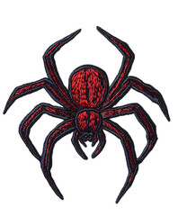 Obraz premium A meticulously detailed and menacing spider, rendered with striking red and black hues, its intricate body and legs hinting at the complex nature of the arachnid. The image is sharp.