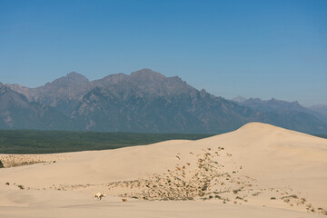 Kodar mountain range and Chara sands.