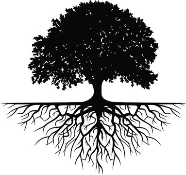 Silhouette of a majestic tree showing roots and branches symbolizing growth and nature