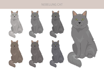 Neva Masquerade Cat clipart. All coat colors set.  All cat breeds characteristics infographic. Vector illustration