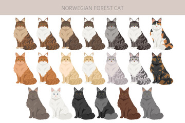 Norwegian Forest Cat clipart. All coat colors set.  All cat breeds characteristics infographic. Vector illustration