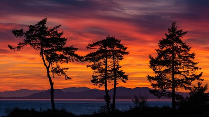 Obraz premium At sunset, the silhouettes of trees reflect the orange and red sky above the lake, with clouds overhead and mountains in the distance.