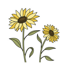 Fototapeta premium sunflower white background vector art illustration