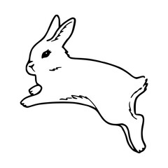 cute rabbit in motion vector drawing