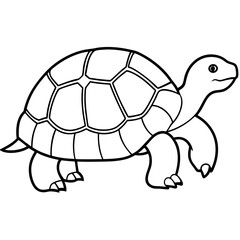 Abstract Tortoise Line Drawing