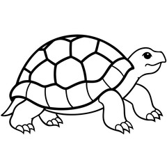 Abstract Tortoise Line Drawing