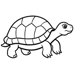 Abstract Tortoise Line Drawing