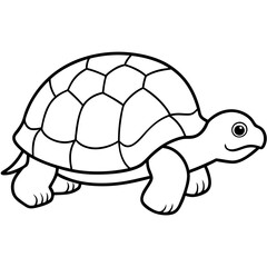 Abstract Tortoise Line Drawing