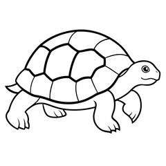 Abstract Tortoise Line Drawing