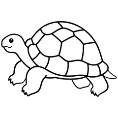 Abstract Tortoise Line Drawing
