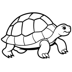 Abstract Tortoise Line Drawing