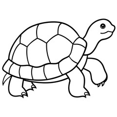Abstract Tortoise Line Drawing