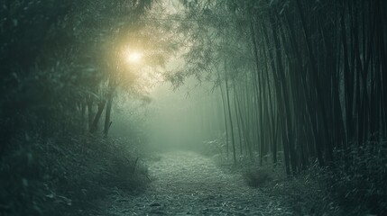 Naklejka premium Misty Bamboo Forest Path with Soft Morning Light - Ul 3 - Standard V2-6x