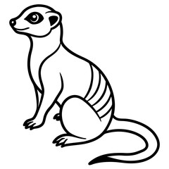 Elegant Meerkat Sketch