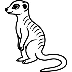 Elegant Meerkat Sketch