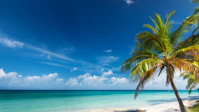 Beautiful view of a wild tropical beach,on a sunny day. Landscape with turquoise ocean and cloudy sky, palm tree background, summer concept. Dream scene. Summer view of nature.