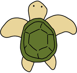 거북이
