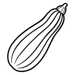 Zucchini icon vector