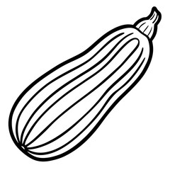 Zucchini icon vector