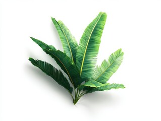 3d tropical green leaves, banana or coconut palm tree leafs. Exotic plant branches isolated on white background. Natural summer foliage design element, realistic render icon mockup