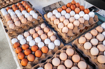 lots of fresh chicken s eggs in egg panel