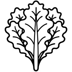 Obraz premium Kale icon art vector