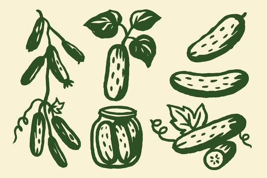 Cucumber vegetable hand drawn green sketch icon set