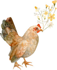 Watercolour illustraion of a hen, holding a bouquet of flowers. Hand drawn. Retro, traditional, rustic, cottagecore, vintage vibe. 
