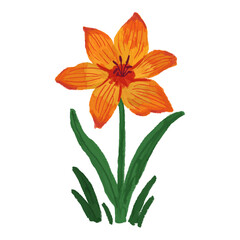 yellow lily flower watercolor illustration with stalk
