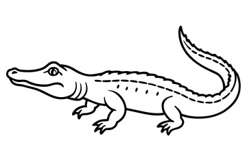 Wild Crocodile Vector Sketch
