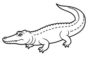 Wild Crocodile Vector Sketch
