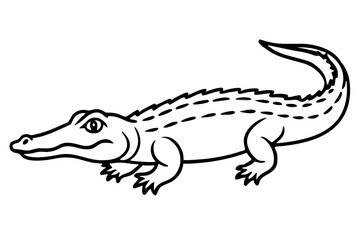 Wild Crocodile Vector Sketch