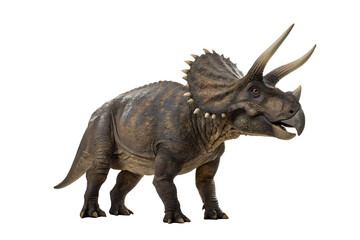 Fototapeta premium Detailed Image of an Armored Dinosaur isolated on white background