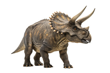 Fototapeta premium Detailed Image of an Armored Dinosaur isolated on white background