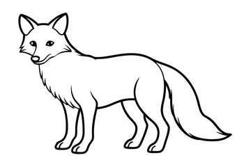 Obraz premium Wild Fox Sketch Vector