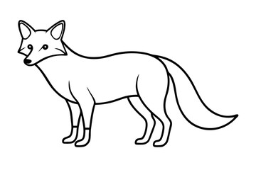 Wild Fox Sketch Vector