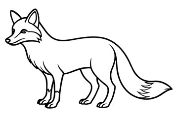 Wild Fox Sketch Vector