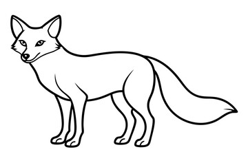 Wild Fox Sketch Vector