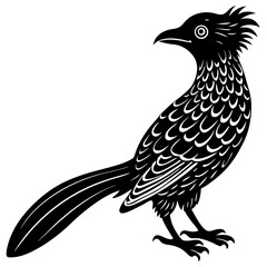 koel bird silhouette