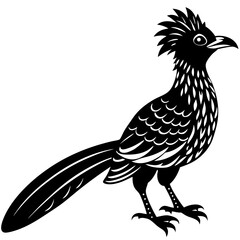 koel bird silhouette