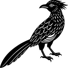 koel bird silhouette