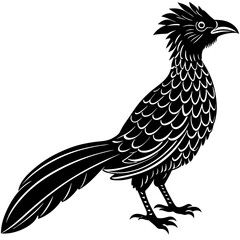 koel bird silhouette